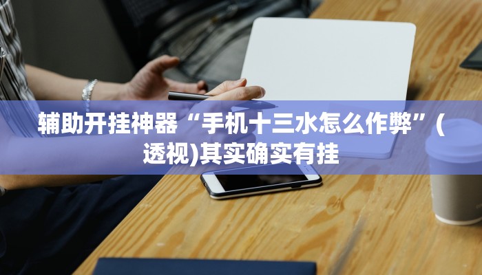 辅助开挂神器“手机十三水怎么作弊”(透视)其实确实有挂