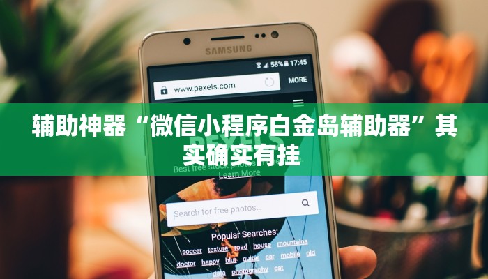 辅助神器“微信小程序白金岛辅助器”其实确实有挂 