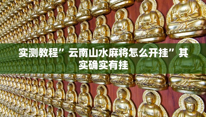 实测教程”云南山水麻将怎么开挂”其实确实有挂