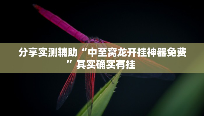 分享实测辅助“中至窝龙开挂神器免费”其实确实有挂 