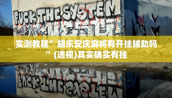实测教程”胡乐安庆麻将有开挂辅助吗”(透视)其实确实有挂