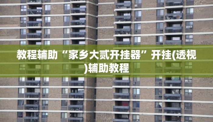 教程辅助“家乡大贰开挂器”开挂(透视)辅助教程
