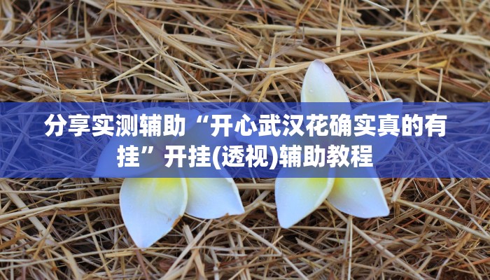 分享实测辅助“开心武汉花确实真的有挂”开挂(透视)辅助教程