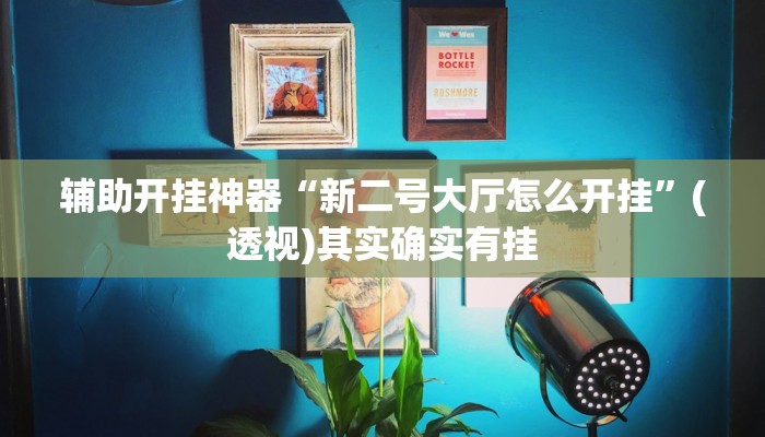 辅助开挂神器“新二号大厅怎么开挂”(透视)其实确实有挂
