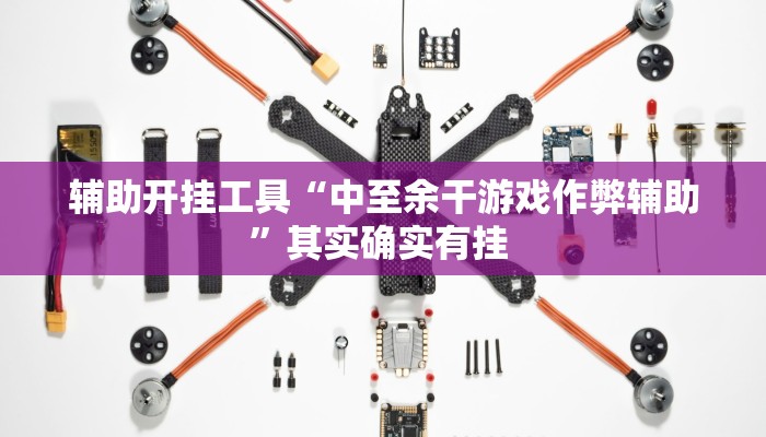 辅助开挂工具“中至余干游戏作弊辅助”其实确实有挂 