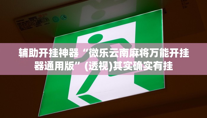 辅助开挂神器“微乐云南麻将万能开挂器通用版”(透视)其实确实有挂
